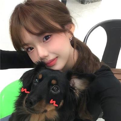 狐狸与猎狗